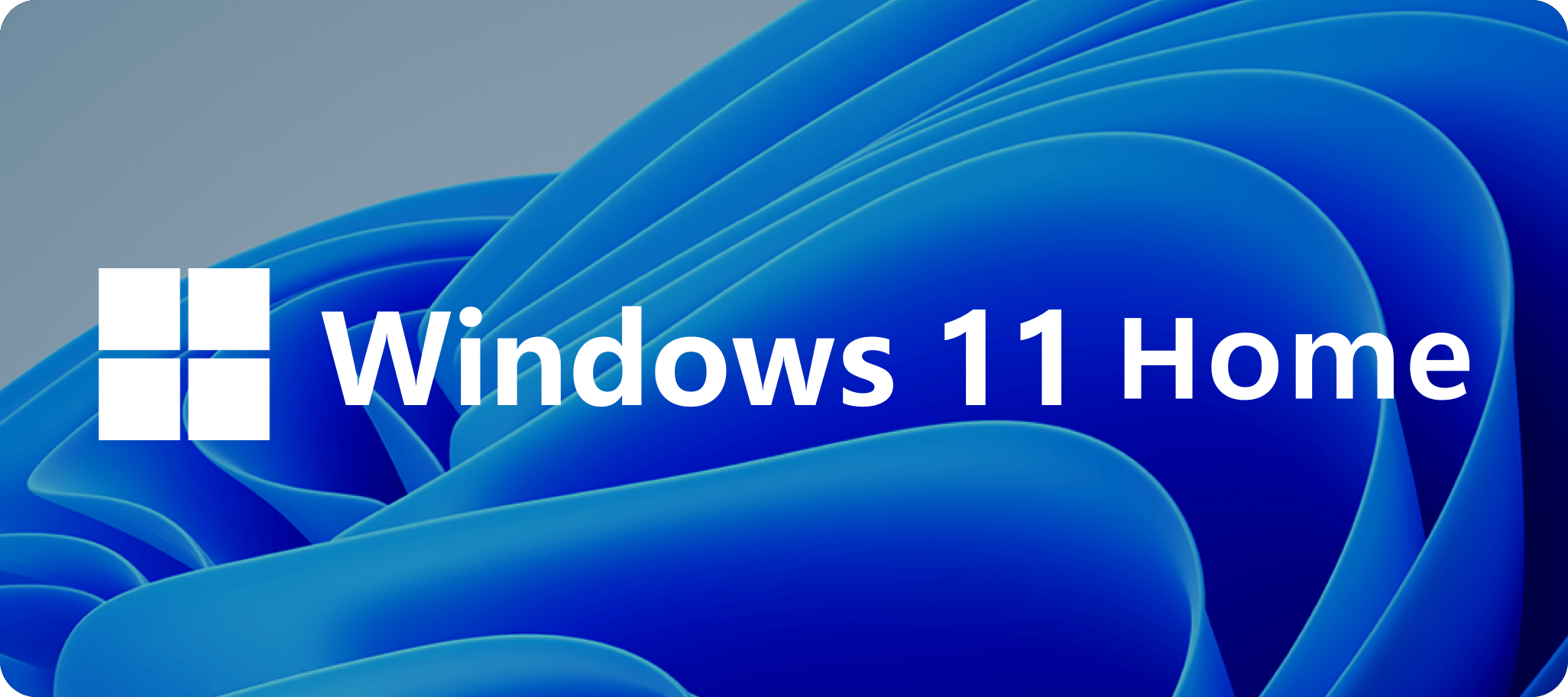windows 11
